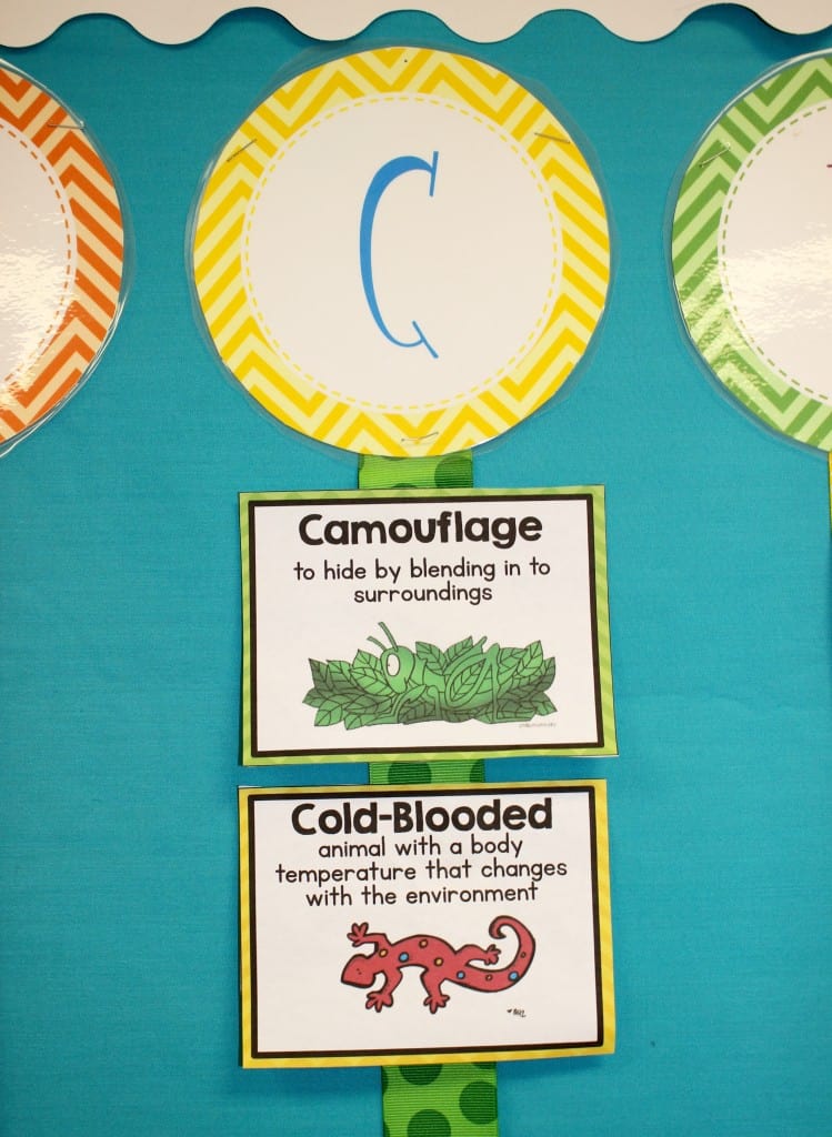 science word wall