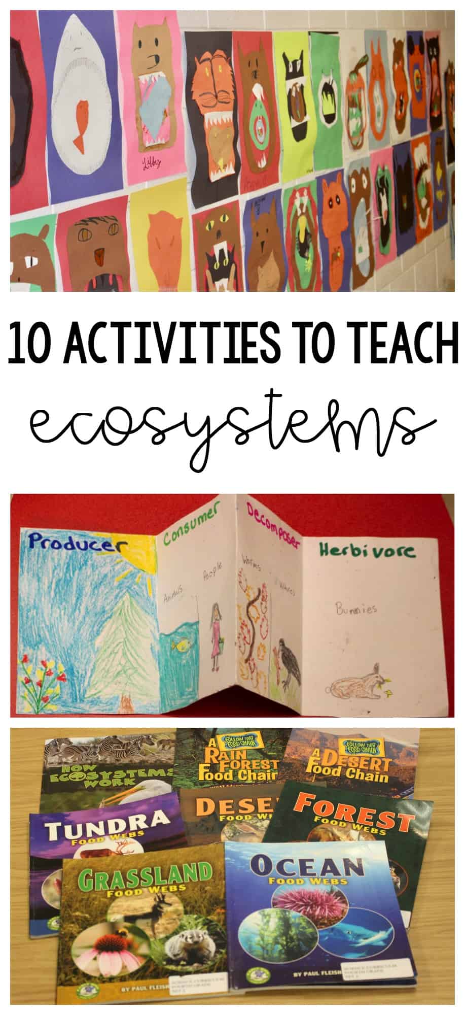 Here are 10 engaging ways to teach ecosystems! My third and fourth graders loved these activities!