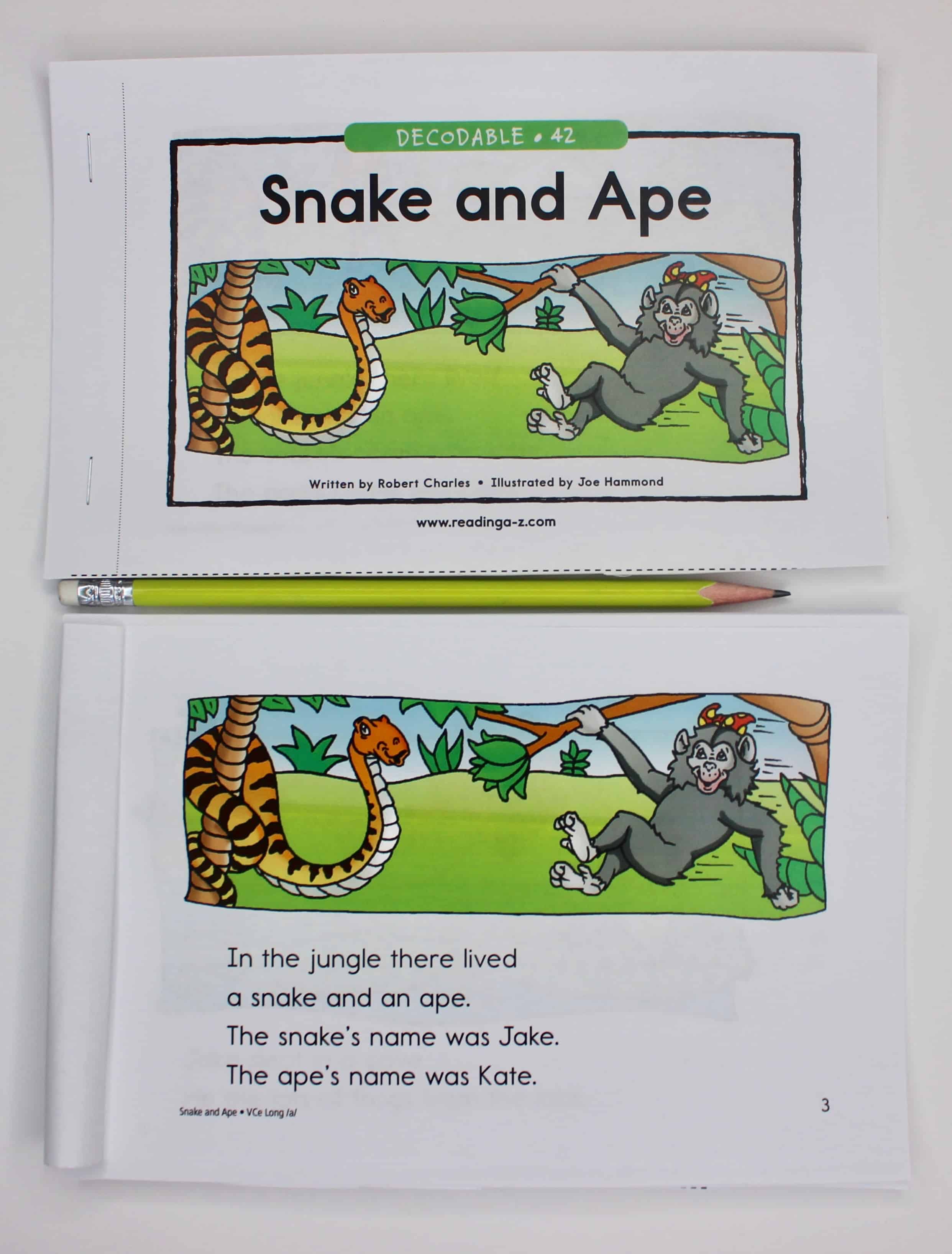 Reading A-Z book for reading groups