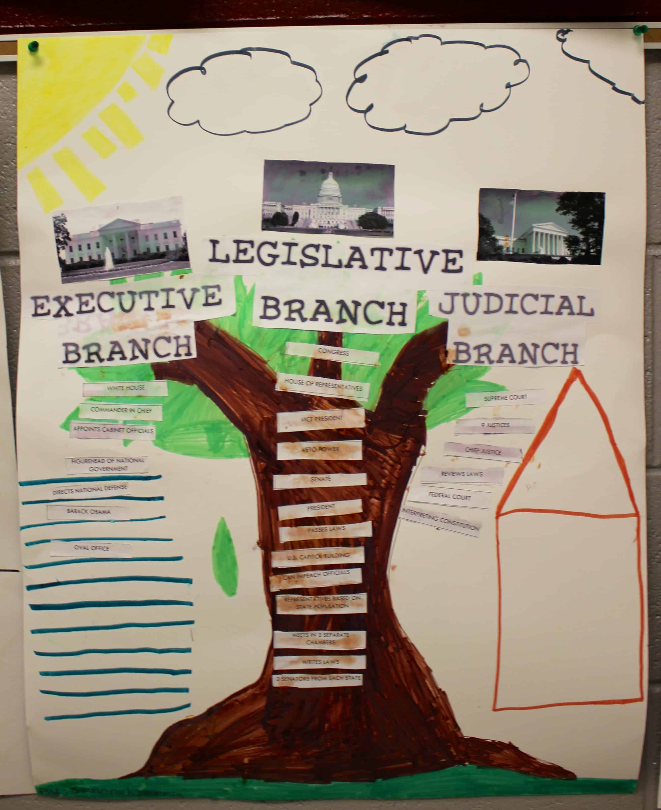 Three Branches Of Government Foldable Freebie