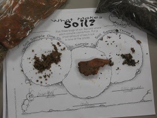 soil experiment soil samples