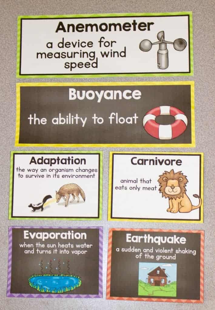 science word wall