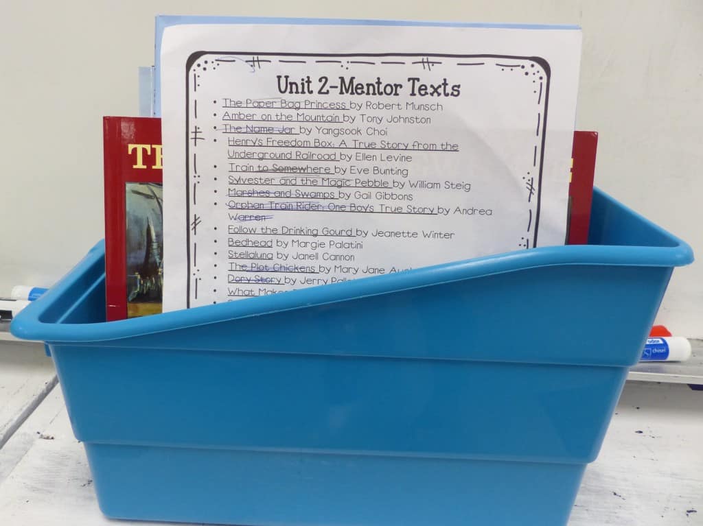 reading mentor text