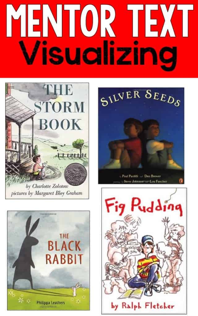 visualizing mentor text