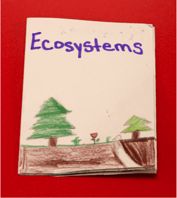 ecosystems project